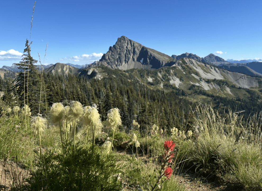 Pacific Crest Trail